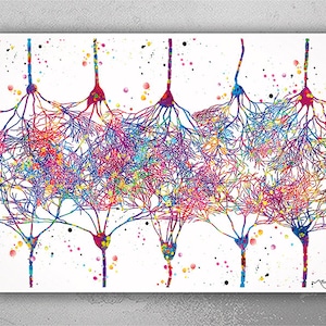 Cortical Neurons Watercolor Print Medical Art Science Neurology Brain Art Poster CANVAS Art Doctor Office Clinic Decor Neural Synapses-1252