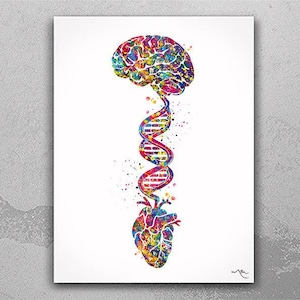 Brain Heart DNA Watercolor Print Science Wall Art Medical Art Wall Art Anatomy Clinic Decor Heart and Brain Office Decor Wall Hanging-444