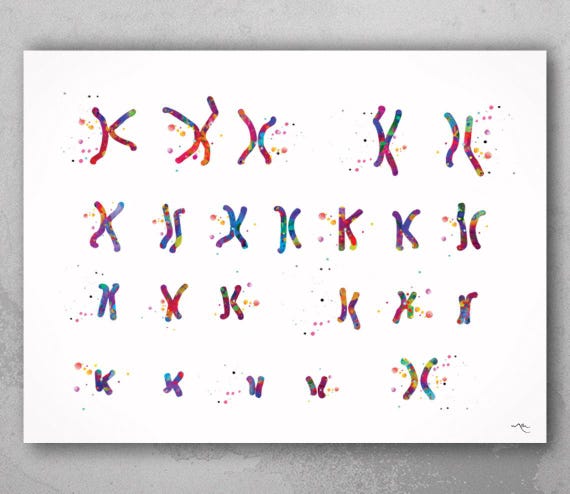 Female Chromosome Karyotype Watercolor Print, Medical Wall Art-234