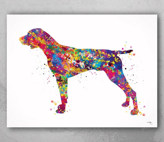 German Shorthaired Pointer Watercolor Dog Art Print-340