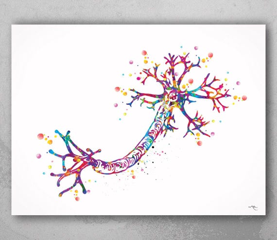 Nerve Cell Watercolor Print, Medical Neurology Art-1036