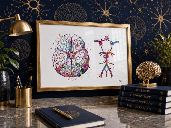 Circle of Willis Watercolor Brain Print, Medical Neurology Art-362