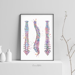 Spine Watercolor Print Human Spine Anatomy Art Medical Art Medicine ...