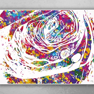 Colonoscopy Watercolor Print Science Art  Cancer Histology Gastrointestinal Office Decor Medical Art Colon Tissue Clinic Decor Cell Art-2109