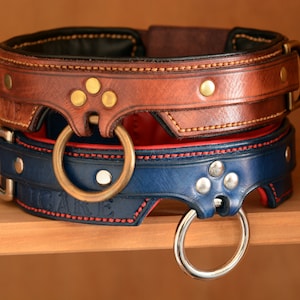 May include: Two stacked leather collars featuring brass and silver-toned hardware. The top collar is brown with gold-toned rivets and a central ring. The bottom collar is blue with silver-toned rivets, a red interior lining, and a silver-toned ring.
