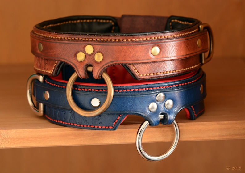 May include: Two stacked leather collars featuring brass and silver-toned hardware. The top collar is brown with gold-toned rivets and a central ring. The bottom collar is blue with silver-toned rivets, a red interior lining, and a silver-toned ring.
