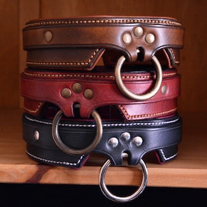 May include: A stack of three leather collars in brown, red, and black. Each collar features a wide band, decorative stitching, three metal rivets, and a large circular metal ring attached to a reinforced tab at the front center of the band.