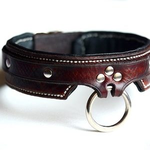 May include: A dark brown leather collar featuring white contrast stitching, silver-toned metal rivets, and a central silver-toned O-ring. The text TWISTED LEATHER is printed in the bottom right corner of the image.