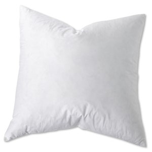 May include: A white, square pillow with a soft, downy texture. The pillow is made of a high-quality fabric and is perfect for sleeping or lounging.