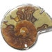 see more listings in the brooch section