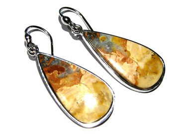 Jasper    ジャスパー