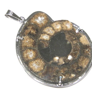 ammonite fossil pendant  silver 925%