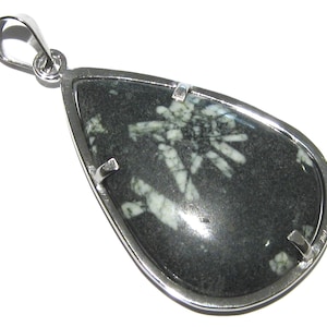 orthoceras pendant fossil