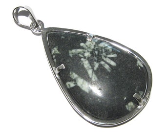 orthoceras Anhänger fossil