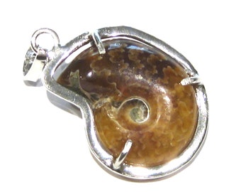 ammonite pendant silver 925%