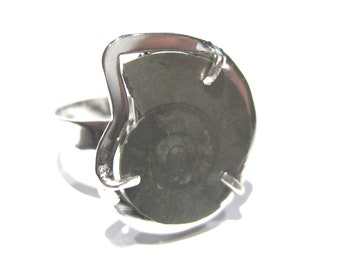 ammonite Ring silver 925%