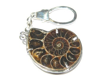 ammonite  fossil keychain silver 925%