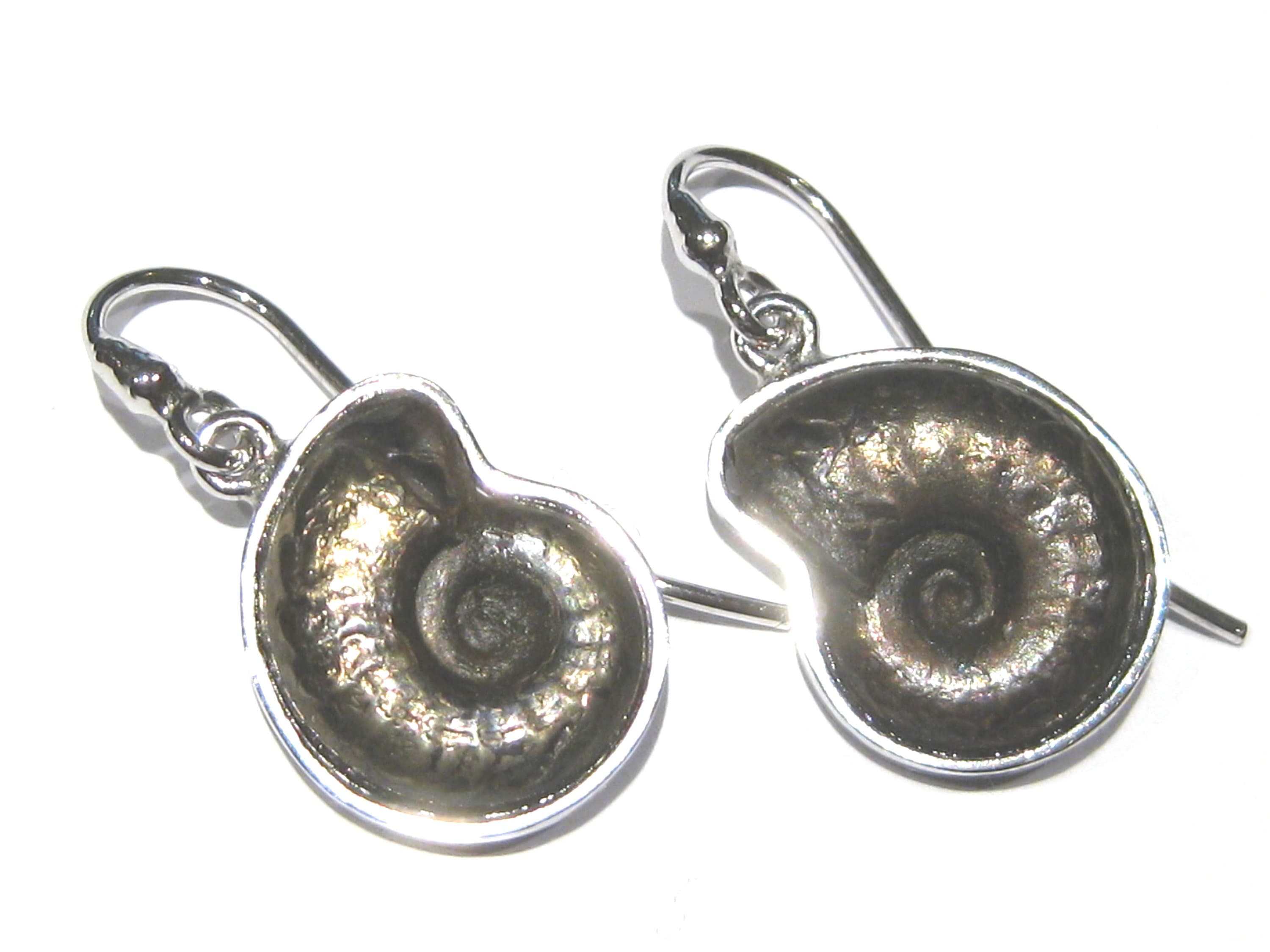 Ammonite Fossil Earrings Silver 925 Etsy Australia