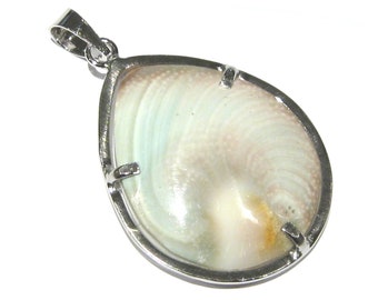 pendentif coquille argent 925%