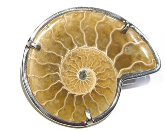ammoniet broche zilver 925%