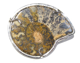 ammoniet broche zilver 925%