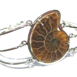 bracciale ammonite fossile
