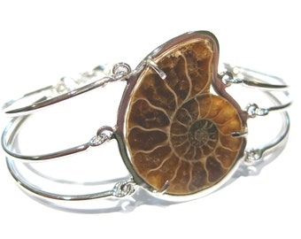 ammonite fossil bracelet  silver 925%