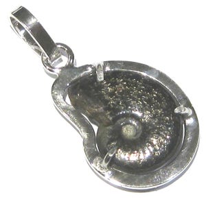 colgante amonita plata 925%