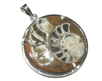 ammonite fossil pendant  silver 925%