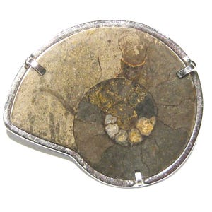 ammonite -fossil brooch silver 925%