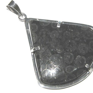 coral fossil pendant silver 925%