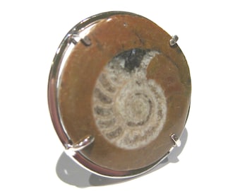 ammonite Ring silver 925%