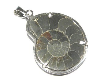 ammonite fossil pendant  silver 925%