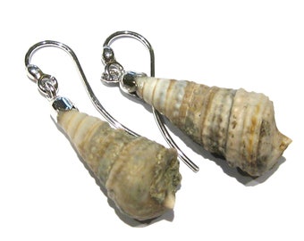 fossil Schale Ohrringe conus