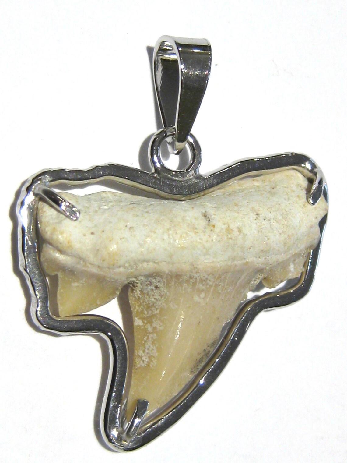 Pendentif tibétain Griffe Dent de tigre Lapis Lazuli Argent 35mm Tibet