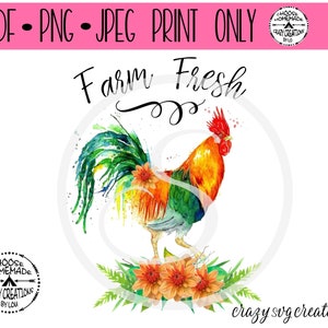 Farm Fresh Rooster Aquacolor Sublimation Print Jpeg | PNG | PDF | Illustraties