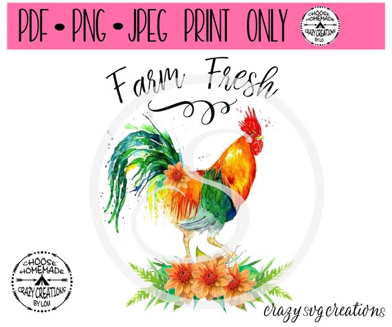 Download Farm Rooster Sublimation Design Digital Download Sublimation Graphics Png Instant Download Clipart Hand Draw Watercolor Sublimation Files Art Collectibles Digital Prints Delage Com Br