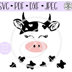 かわいい牛の顔と斑点、それに応じて配置する SVG デジタル カット ファイル (htv-vinyl-decal-diy-plotter-vinyl 用) - SVG - DXF Png および Jpeg 形式。