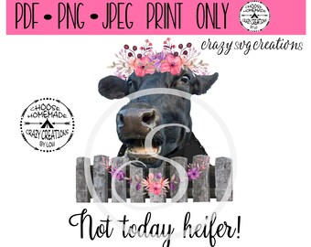 Puede incluir: Una vaca negra con una corona de flores asomándose a una valla de madera con el texto "¡No hoy, vaca!"