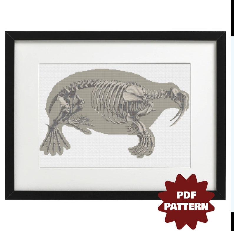 LARGE Walrus Skeleton Counted Cross Stitch PDF Pattern - Etsy