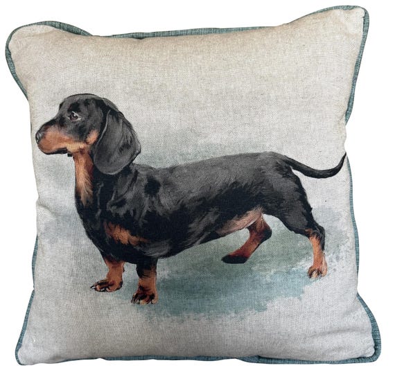 Pretty Cushions Dachshund Teal Blue Piped Linen Cushion Cover