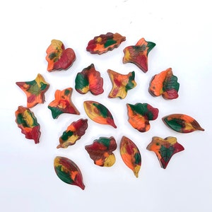 May include: A collection of colorful leaf-shaped objects in shades of red, orange, green, and yellow. The leaves vary in shape and size, with detailed veining and a glossy finish. The arrangement is scattered on a white surface, evoking an autumn theme.