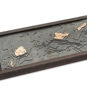 Tableau de profondeur topographique sculpté en bois des îles hawaïennes / carte