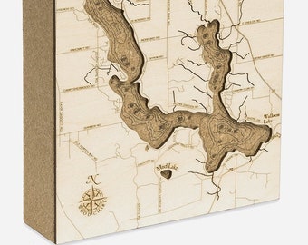 Walloon Lake, Michigan Topographic Cork Decoration