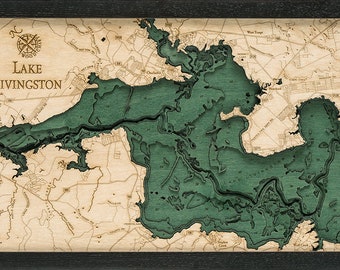 Lake Livingston Wood Carved Topographic Depth Chart / Map