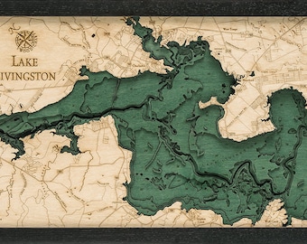 Lake Livingston Wood Carved Topographic Depth Chart / Map