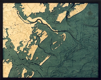 Savannah, Georgia Wood Carved Topographic Depth Chart / Map