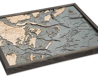 Savannah, Georgia Wood Carved Topographic Depth Chart / Map - 3 Frame Options