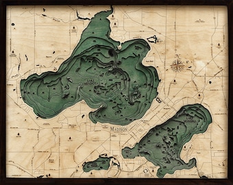 Lake Mendota & Monona, WI Wood Carved Topographic Depth Chart / Map