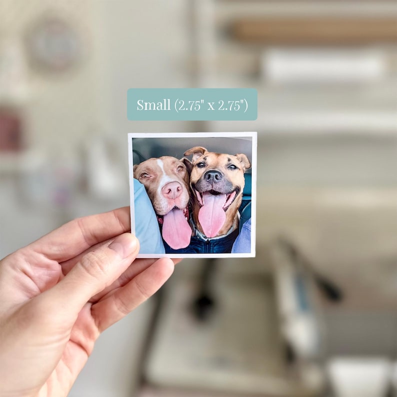 Pu&ograve; includere: Una stampa fotografica quadrata che ritrae due cani con la lingua di fuori, etichettata come Small (7 cm x 7 cm). Il cane a sinistra ha il pelo marrone chiaro e bianco, mentre quello a destra &egrave; color sabbia e indossa un indumento blu scuro.